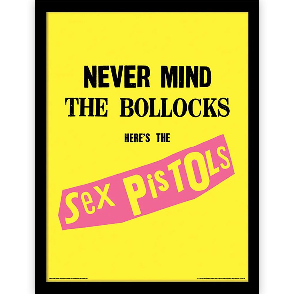 SEX PISTOLS セックスピストルズ - Never Mind The Bollocks / インテリア額 - PGS